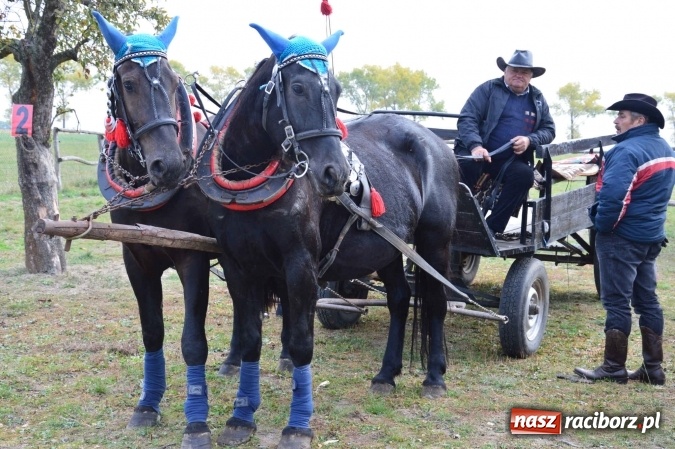 Zdjęcie w galerii na portalu naszraciborz.pl: Na żerdzińskim Hubertusie pogoda sprzyja wiadomości z regionu
