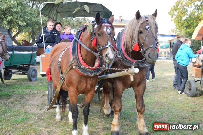 Zdjęcie w galerii na portalu naszraciborz.pl: Na żerdzińskim Hubertusie pogoda sprzyja wiadomości z regionu