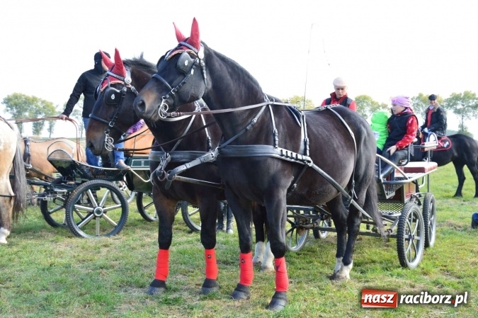 Zdjęcie w galerii na portalu naszraciborz.pl: Na żerdzińskim Hubertusie pogoda sprzyja wiadomości z regionu