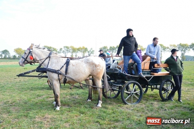 Zdjęcie w galerii na portalu naszraciborz.pl: Na żerdzińskim Hubertusie pogoda sprzyja wiadomości z regionu