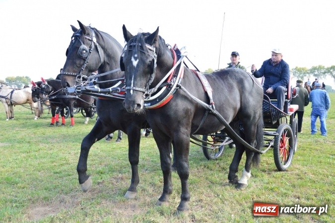 Zdjęcie w galerii na portalu naszraciborz.pl: Na żerdzińskim Hubertusie pogoda sprzyja wiadomości z regionu