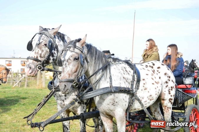 Zdjęcie w galerii na portalu naszraciborz.pl: Na żerdzińskim Hubertusie pogoda sprzyja wiadomości z regionu