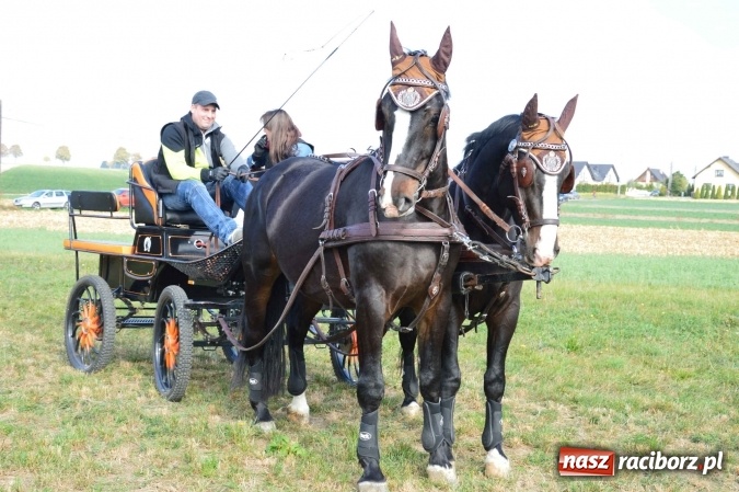 Zdjęcie w galerii na portalu naszraciborz.pl: Na żerdzińskim Hubertusie pogoda sprzyja wiadomości z regionu