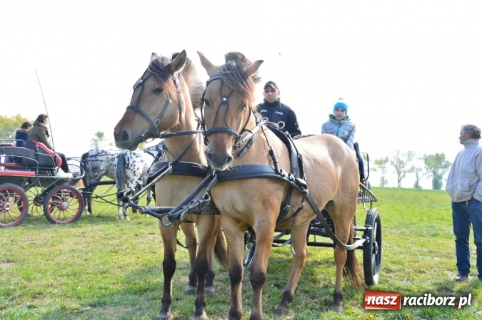 Zdjęcie w galerii na portalu naszraciborz.pl: Na żerdzińskim Hubertusie pogoda sprzyja wiadomości z regionu
