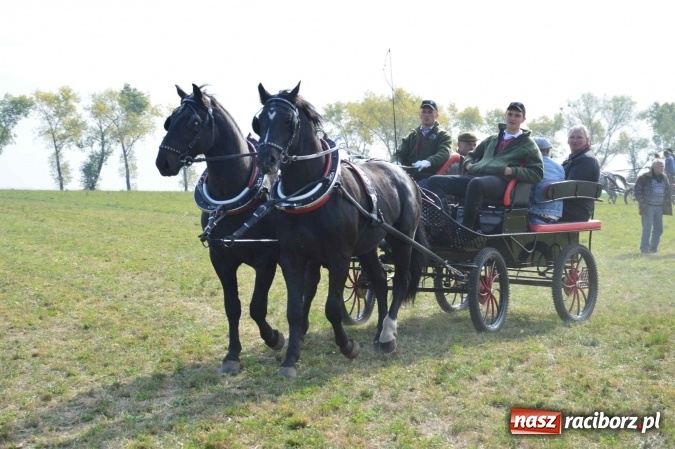 Zdjęcie w galerii na portalu naszraciborz.pl: Na żerdzińskim Hubertusie pogoda sprzyja wiadomości z regionu