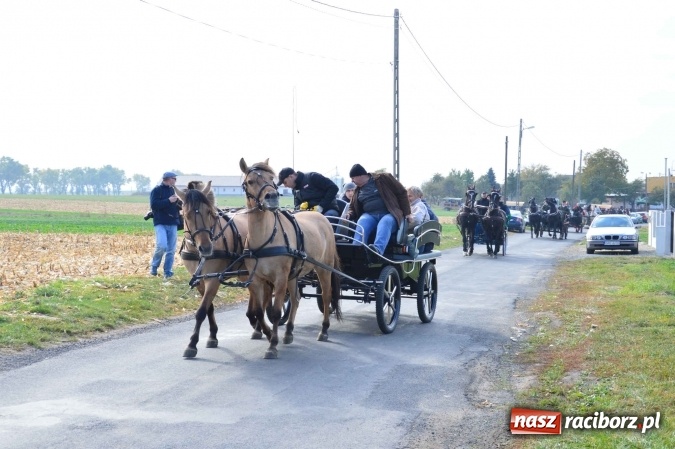Zdjęcie w galerii na portalu naszraciborz.pl: Na żerdzińskim Hubertusie pogoda sprzyja wiadomości z regionu