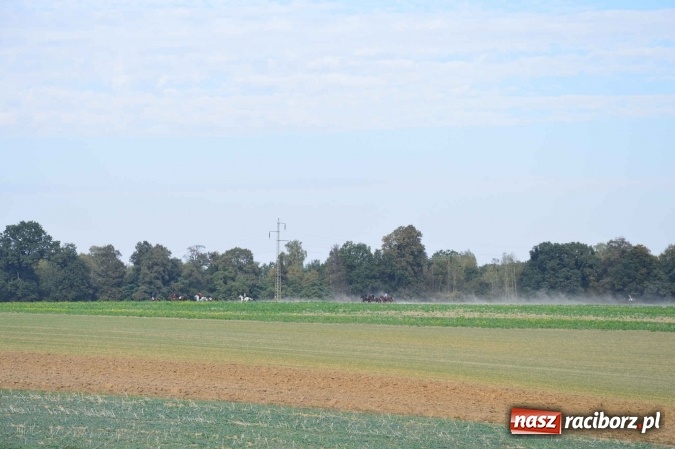 Zdjęcie w galerii na portalu naszraciborz.pl: Na żerdzińskim Hubertusie pogoda sprzyja wiadomości z regionu