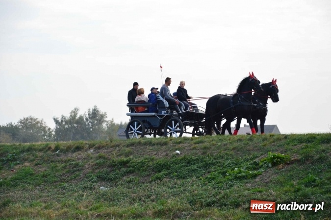 Zdjęcie w galerii na portalu naszraciborz.pl: Na żerdzińskim Hubertusie pogoda sprzyja wiadomości z regionu