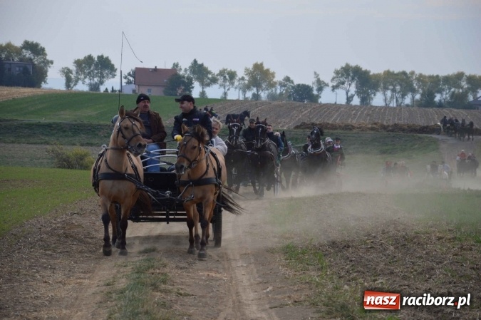 Zdjęcie w galerii na portalu naszraciborz.pl: Na żerdzińskim Hubertusie pogoda sprzyja wiadomości z regionu