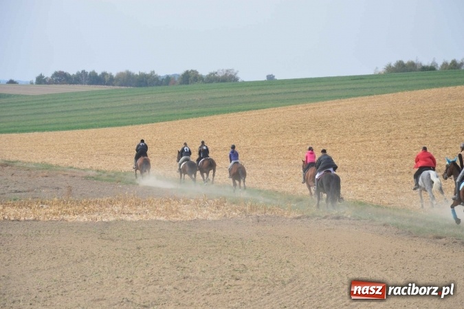 Zdjęcie w galerii na portalu naszraciborz.pl: Na żerdzińskim Hubertusie pogoda sprzyja wiadomości z regionu