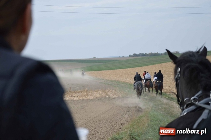 Zdjęcie w galerii na portalu naszraciborz.pl: Na żerdzińskim Hubertusie pogoda sprzyja wiadomości z regionu