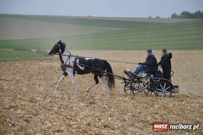 Zdjęcie w galerii na portalu naszraciborz.pl: Na żerdzińskim Hubertusie pogoda sprzyja wiadomości z regionu