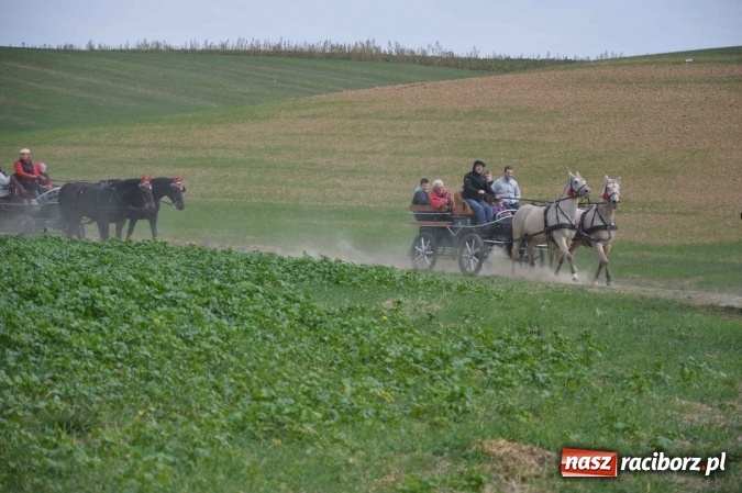 Zdjęcie w galerii na portalu naszraciborz.pl: Na żerdzińskim Hubertusie pogoda sprzyja wiadomości z regionu