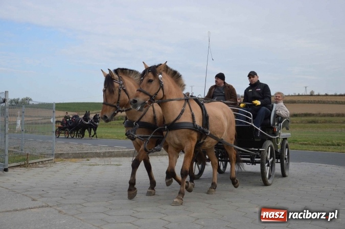 Zdjęcie w galerii na portalu naszraciborz.pl: Na żerdzińskim Hubertusie pogoda sprzyja wiadomości z regionu
