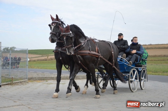 Zdjęcie w galerii na portalu naszraciborz.pl: Na żerdzińskim Hubertusie pogoda sprzyja wiadomości z regionu