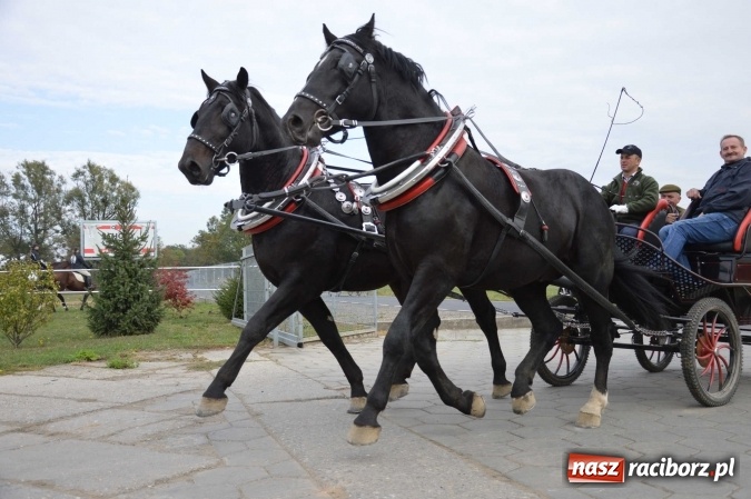 Zdjęcie w galerii na portalu naszraciborz.pl: Na żerdzińskim Hubertusie pogoda sprzyja wiadomości z regionu