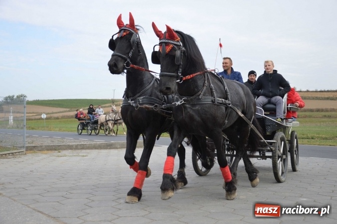Zdjęcie w galerii na portalu naszraciborz.pl: Na żerdzińskim Hubertusie pogoda sprzyja wiadomości z regionu