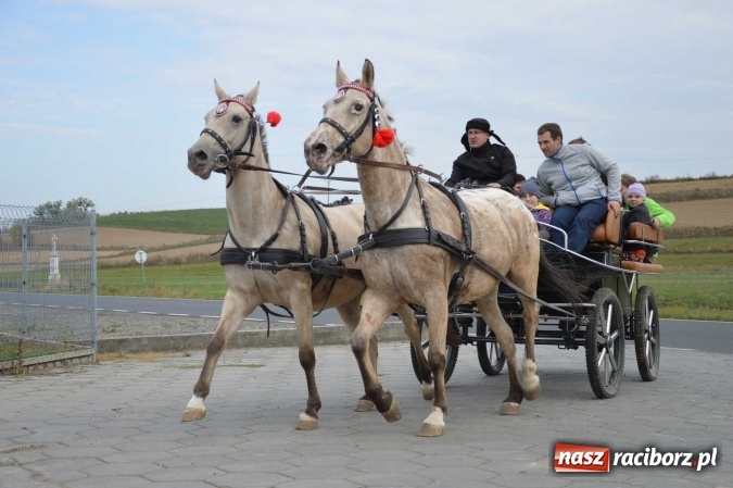 Zdjęcie w galerii na portalu naszraciborz.pl: Na żerdzińskim Hubertusie pogoda sprzyja wiadomości z regionu