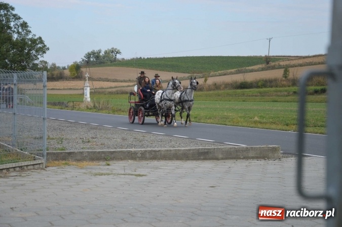 Zdjęcie w galerii na portalu naszraciborz.pl: Na żerdzińskim Hubertusie pogoda sprzyja wiadomości z regionu