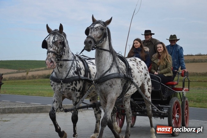 Zdjęcie w galerii na portalu naszraciborz.pl: Na żerdzińskim Hubertusie pogoda sprzyja wiadomości z regionu