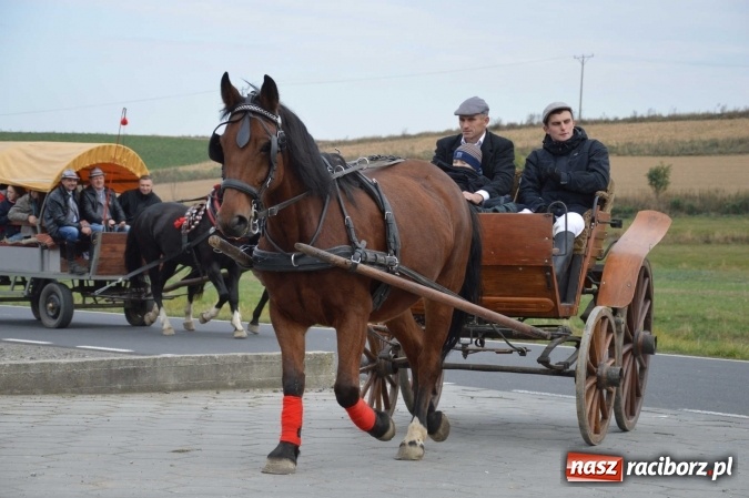 Zdjęcie w galerii na portalu naszraciborz.pl: Na żerdzińskim Hubertusie pogoda sprzyja wiadomości z regionu