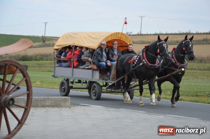 Zdjęcie w galerii na portalu naszraciborz.pl: Na żerdzińskim Hubertusie pogoda sprzyja wiadomości z regionu