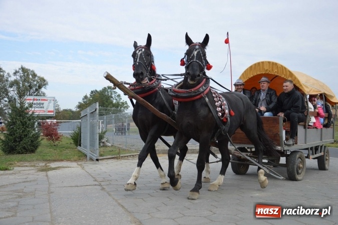Zdjęcie w galerii na portalu naszraciborz.pl: Na żerdzińskim Hubertusie pogoda sprzyja wiadomości z regionu