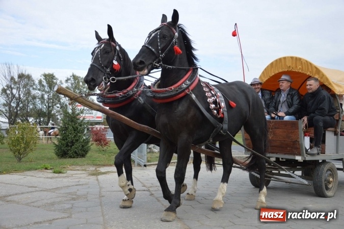 Zdjęcie w galerii na portalu naszraciborz.pl: Na żerdzińskim Hubertusie pogoda sprzyja wiadomości z regionu