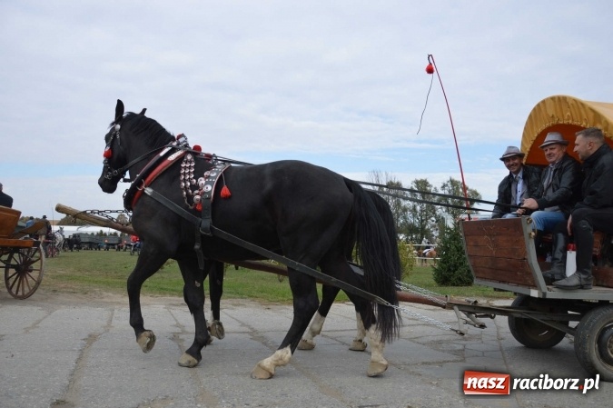 Zdjęcie w galerii na portalu naszraciborz.pl: Na żerdzińskim Hubertusie pogoda sprzyja wiadomości z regionu
