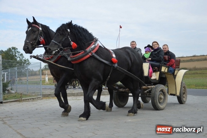 Zdjęcie w galerii na portalu naszraciborz.pl: Na żerdzińskim Hubertusie pogoda sprzyja wiadomości z regionu