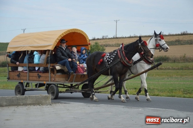Zdjęcie w galerii na portalu naszraciborz.pl: Na żerdzińskim Hubertusie pogoda sprzyja wiadomości z regionu