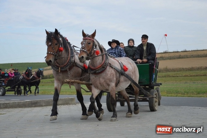 Zdjęcie w galerii na portalu naszraciborz.pl: Na żerdzińskim Hubertusie pogoda sprzyja wiadomości z regionu