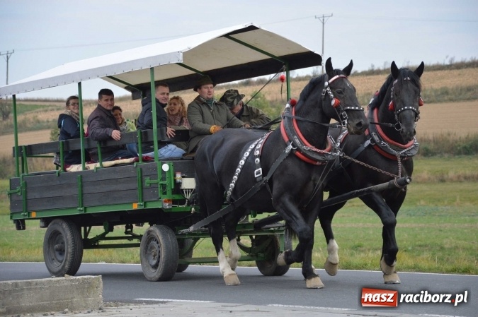 Zdjęcie w galerii na portalu naszraciborz.pl: Na żerdzińskim Hubertusie pogoda sprzyja wiadomości z regionu