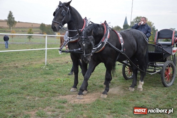 Zdjęcie w galerii na portalu naszraciborz.pl: Na żerdzińskim Hubertusie pogoda sprzyja wiadomości z regionu