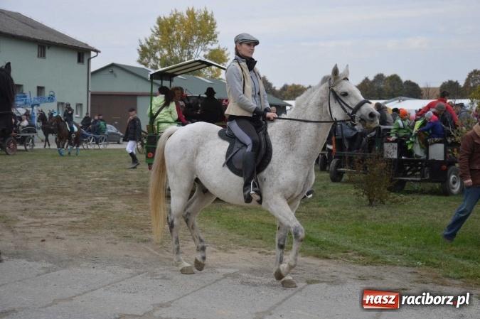 Zdjęcie w galerii na portalu naszraciborz.pl: Na żerdzińskim Hubertusie pogoda sprzyja wiadomości z regionu