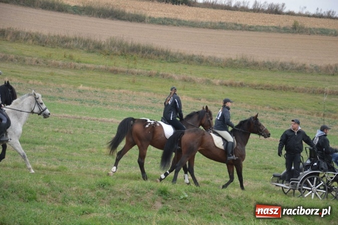 Zdjęcie w galerii na portalu naszraciborz.pl: Na żerdzińskim Hubertusie pogoda sprzyja wiadomości z regionu