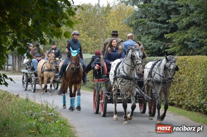 Zdjęcie w galerii na portalu naszraciborz.pl: Na żerdzińskim Hubertusie pogoda sprzyja wiadomości z regionu