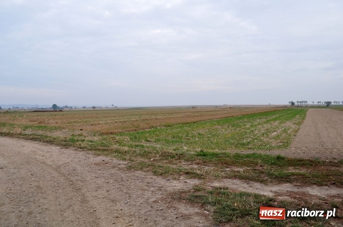 Zdjęcie w galerii na portalu naszraciborz.pl: Don Kichot potrzebny od zaraz! Do walki z wiatrakami stanęli mieszkańcy Wojnowic wiadomości z regionu