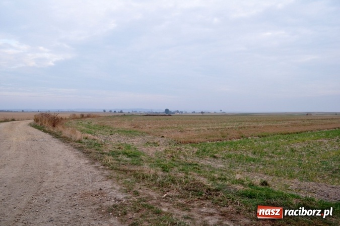 Zdjęcie w galerii na portalu naszraciborz.pl: Don Kichot potrzebny od zaraz! Do walki z wiatrakami stanęli mieszkańcy Wojnowic wiadomości z regionu