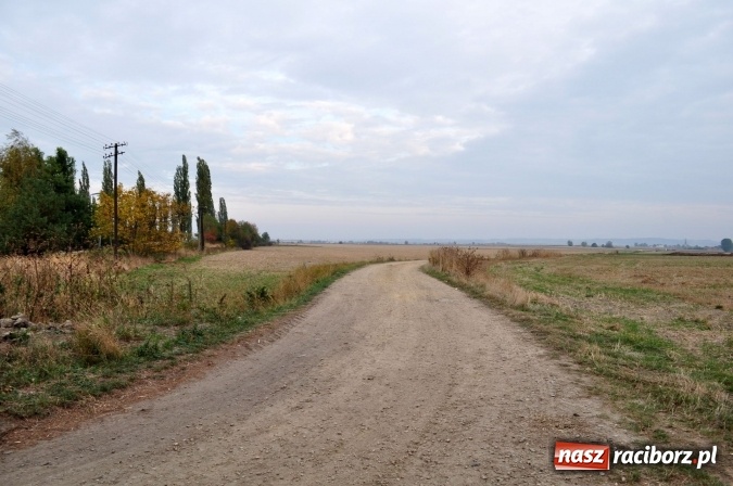 Zdjęcie w galerii na portalu naszraciborz.pl: Don Kichot potrzebny od zaraz! Do walki z wiatrakami stanęli mieszkańcy Wojnowic wiadomości z regionu