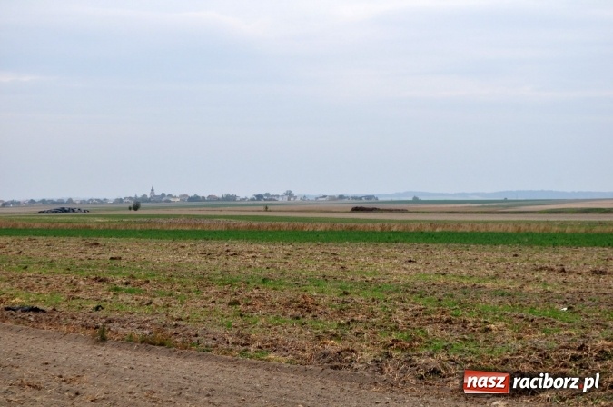 Zdjęcie w galerii na portalu naszraciborz.pl: Don Kichot potrzebny od zaraz! Do walki z wiatrakami stanęli mieszkańcy Wojnowic wiadomości z regionu