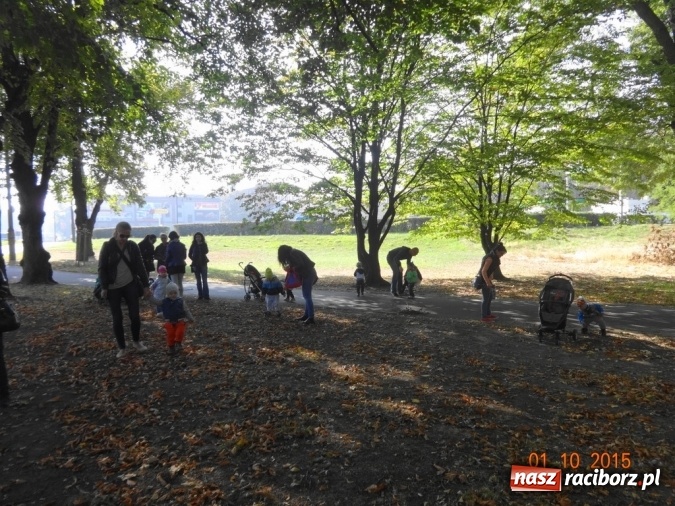 Zdjęcie w galerii na portalu naszraciborz.pl: Fiku-miku pożegnało słoneczne dni  wiadomości z regionu
