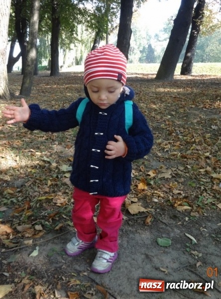 Zdjęcie w galerii na portalu naszraciborz.pl: Fiku-miku pożegnało słoneczne dni  wiadomości z regionu