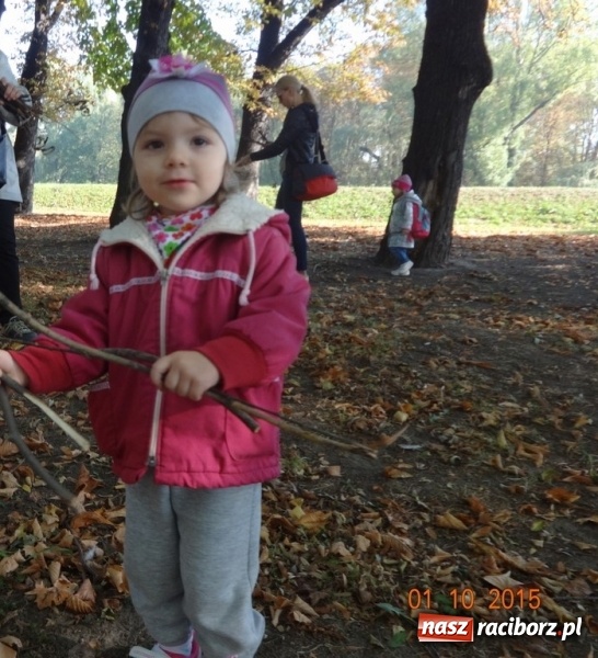 Zdjęcie w galerii na portalu naszraciborz.pl: Fiku-miku pożegnało słoneczne dni  wiadomości z regionu