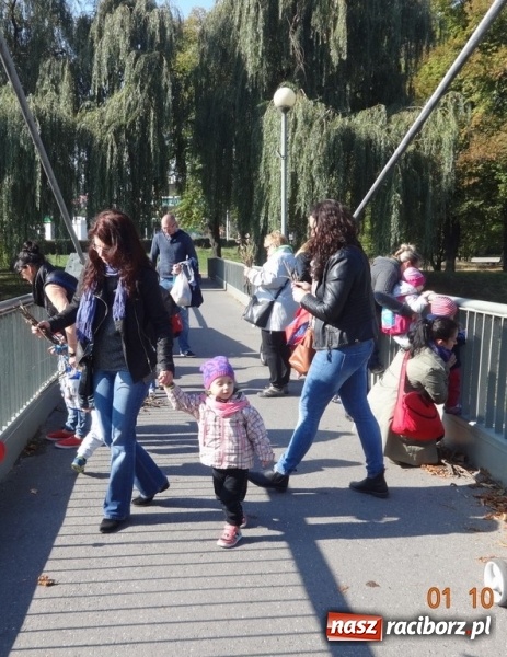 Zdjęcie w galerii na portalu naszraciborz.pl: Fiku-miku pożegnało słoneczne dni  wiadomości z regionu