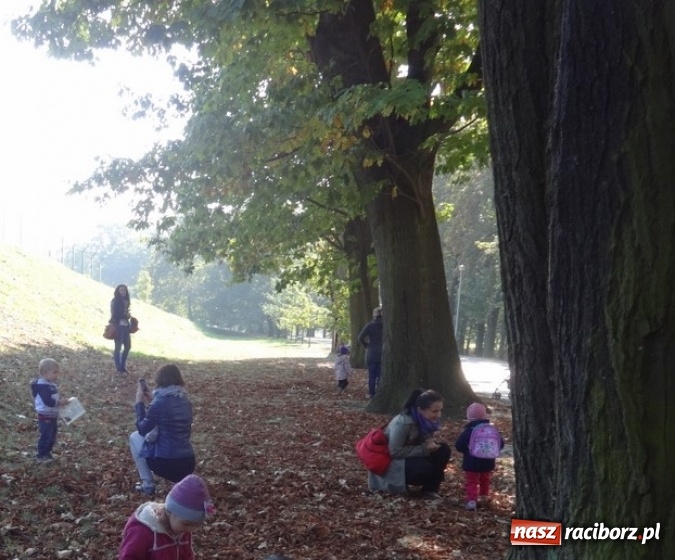Zdjęcie w galerii na portalu naszraciborz.pl: Fiku-miku pożegnało słoneczne dni  wiadomości z regionu
