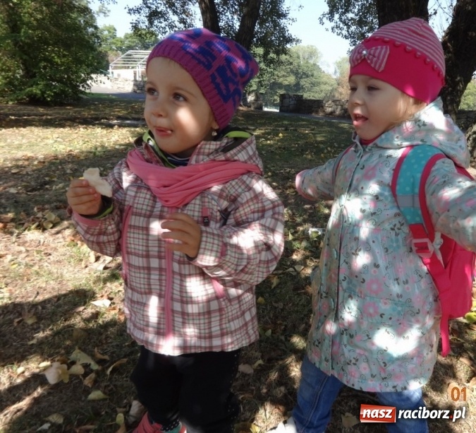 Zdjęcie w galerii na portalu naszraciborz.pl: Fiku-miku pożegnało słoneczne dni  wiadomości z regionu