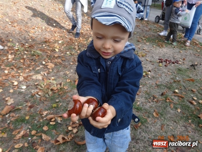 Zdjęcie w galerii na portalu naszraciborz.pl: Fiku-miku pożegnało słoneczne dni  wiadomości z regionu