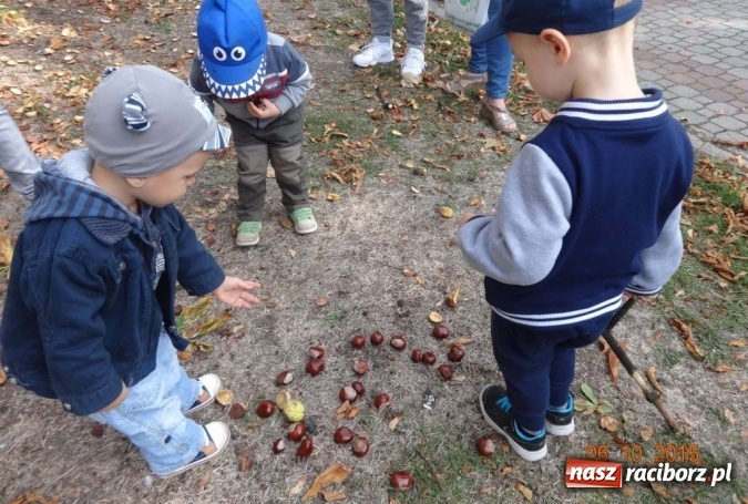 Zdjęcie w galerii na portalu naszraciborz.pl: Fiku-miku pożegnało słoneczne dni  wiadomości z regionu