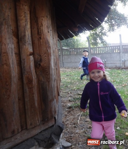 Zdjęcie w galerii na portalu naszraciborz.pl: Fiku-miku pożegnało słoneczne dni  wiadomości z regionu